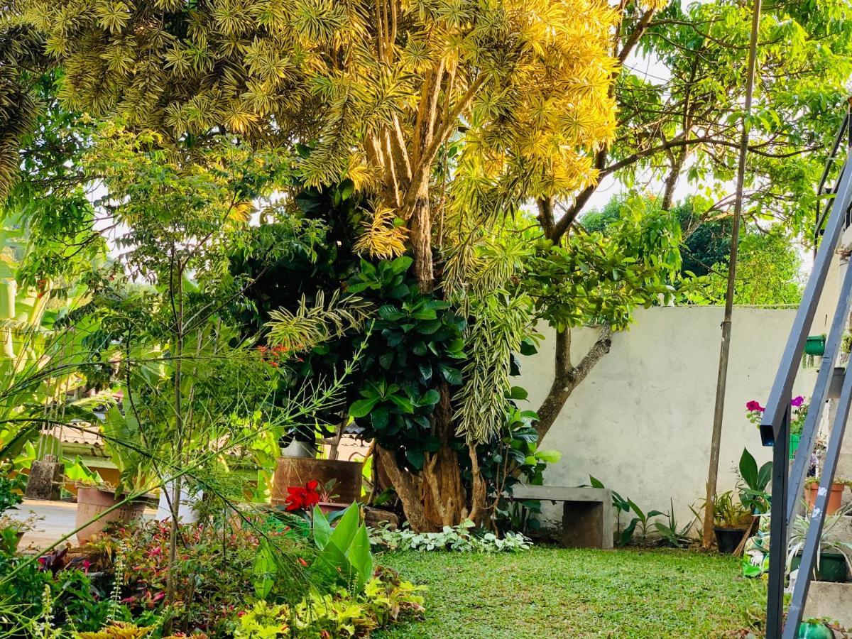 Heaven Breeze Hotel Kandy Exterior foto